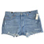 AGOLDE Parker Vintage Cut Off Shorts