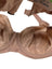 Sculptresse Bliss Full Cup Bra in Hazel