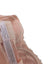 Auden Unlined Balconette Coverage Underwire Bra
