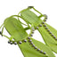 Stuart Weitzman Womens Goldie Jelly Sandals