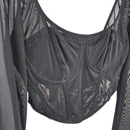 Anthropologie Long Sleeve Mesh Crop Top