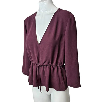 Aritzia Wilfred Barreme V-Neck  Drawstring Blouse