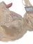 Panache Clara Full Cup Bra