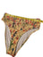 Farm Rio Smocked Bikini Bottoms