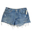 AGOLDE Parker Shorts, Vintage Cut Off, High Rise, Button Fly, Swapmeet Blue, 29