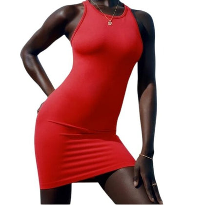 Aritzia TNA Body Kaplan Dress