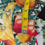 Anthropologie Maeve The Colette Short