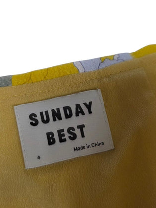 Aritzia Sunday Best Floral Mini Skirt