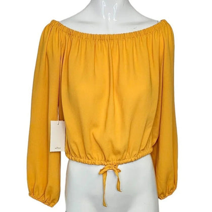 Aritzia Wilfred Eleanora Blouse