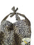 Tommy Bahama Cat Island Tankini Top