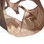 Lululemon Awake To Lace Bra
