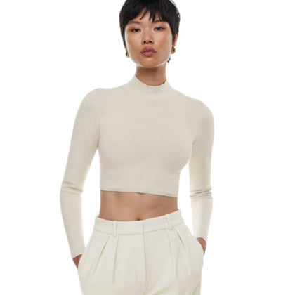 Aritzia Babaton Sculpt Knit Level Turtleneck